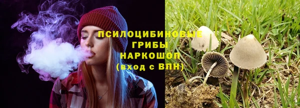 стафф Абинск